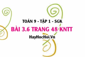 Bài 3.6 trang 48 Toán 9 tập 1 Kết nối tri thức